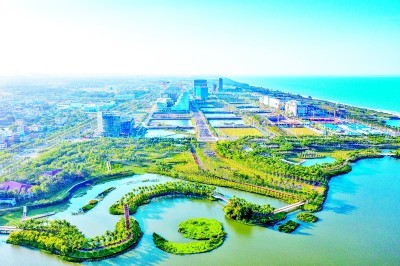 海口數(shù)字技術(shù)賦能自貿(mào)港建設(shè)，智慧新引擎驅(qū)動(dòng)海南發(fā)展新高潮
